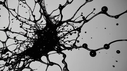 Poster - Abstract black ink splatter on white canvas, creative expression concept
