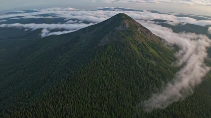 Aufkleber - Misty green mountain peak surrounded by clouds at dawn, serene nature landscape