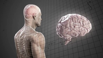 Poster - Animation of human anatomy with brain and spine, mathematical equations overlay
