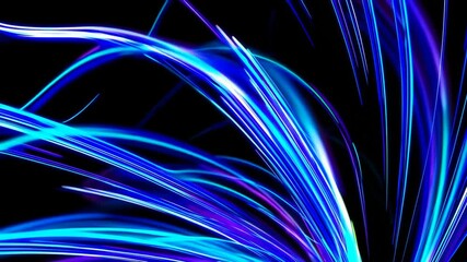 Leinwandbilder - Radiant blue and purple fiber optic lines in motion against black background. Futuristic technology and digital communications concept