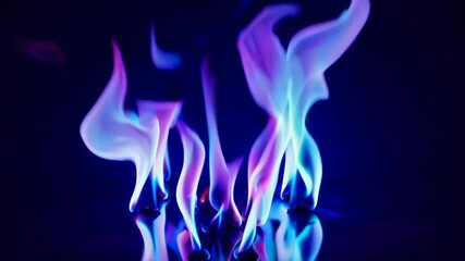 Poster - Vibrant blue and purple flames against a dark background. Abstract fire art concept