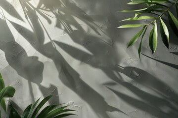 Poster - Elegant Earthy Gray Backdrop with Soft Shadows for Contemporary Product Display