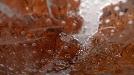 Poster - Close up shot of a leaf frozen in ice with cracks and air bubbles