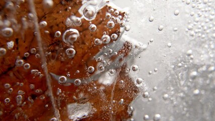 Poster - Close up shot of a leaf frozen in ice with cracks and air bubbles