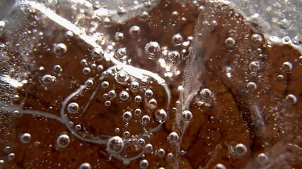 Poster - Close up shot of a leaf frozen in ice with cracks and air bubbles