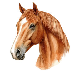 watercolor vector of horse, isolated on a white background.