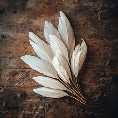 Poster - Elegant swan feathers gracefully resting on a rustic wooden table creating a serene and natural atmosphere