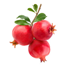 Wall Mural - pomegranate cluster isolated on white background.