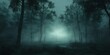 © phy - A dark and eerie forest shrouded in thick, mysterious fog with soft, glowing light in the distance