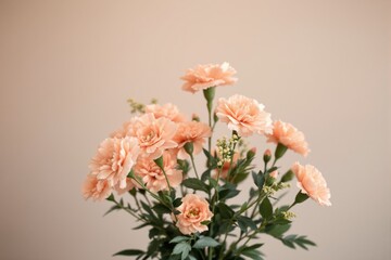 Poster - Beautiful peach carnations with green leaves in soft lighting on a neutral background.