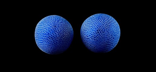 Macro Photography of Blue Spheres with Mesh Texture on Black Background