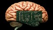 © flat_art - Human Brain and Circuit Board: A Symbiotic Fusion of Biology and Technology