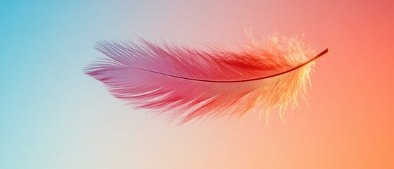 Poster - Soft Pink Feather Floating on a Gradient Background of Warm Colors