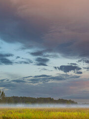 Wall Mural - a cloudy sky with a few trees in the background