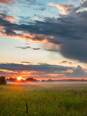 Wall Mural - a beautiful sunset over a field with a few trees in the background