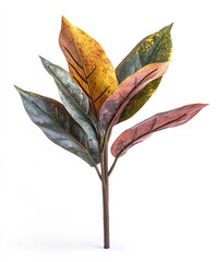 Wall Mural - Colorful croton leaves isolated on white background