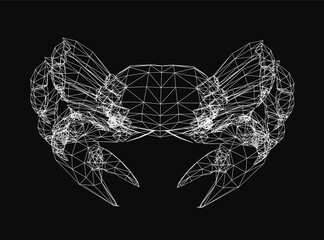 Fototapete - A crab is shown in a black and white image. The crab is made up of many lines and he is a 3D model. The image has a somewhat eerie and abstract feel to it