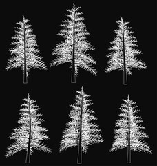 Poster - A series of six trees are drawn in black and white. The trees are all the same size and shape, and they are all standing upright. The trees are arranged in a row, with the first tree on the left