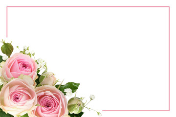 Wall Mural - pink rose flowers and gypsophila in a festive corner arrangement with frame isolated on white or tra
