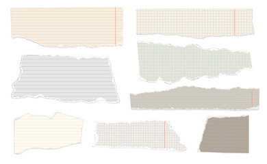 Poster - Ripped note paper. Scraps of lined and squared notebook papers. Realistic pieces with torn edges for notes and scrapbook collage. Torned memo templates. Vector isolated set.