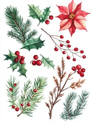 Wall Mural - Merry Christmas set with floral elements. Decorative Christmas twigs, berries, and flowers. Christmas watercolor set.v