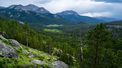 Poster - Breathtaking mountain landscape with pine trees and vast valleys stretching into the horizon : Generative AI