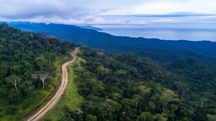 Poster - Aerial View of a Winding Dirt Path Through Lush Green Jungle Landscape Near the Coastline : Generative AI