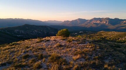 Poster - Stunning sunset view from a hilltop showcasing lone tree and rugged mountain landscape : Generative AI