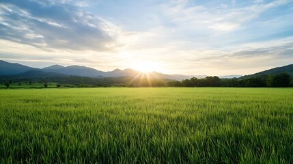 Poster - Serene sunrise over lush green fields with mountains creating a peaceful landscape : Generative AI