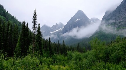 Aufkleber - Serene mountain landscape with misty peaks surrounded by lush green trees creating a tranquil natural scene : Generative AI