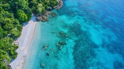 Poster - Stunning aerial view of a pristine beach with turquoise water and lush greenery along the shore : Generative AI