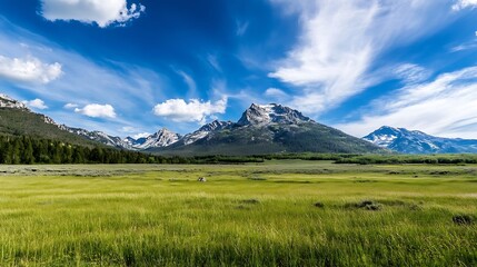 Poster - A breathtaking panoramic view of majestic mountains under a blue sky with fluffy clouds and open grassy fields : Generative AI