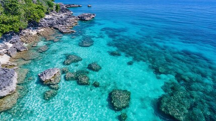 Aufkleber - Crystal clear turquoise waters over rocky shorelines showcasing marine life in a tropical paradise : Generative AI