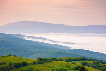 Wall Mural - rural landscape in carpathian mountains at dawn. foggy weather. cold fog in the valley. beautiful al