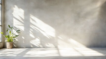 Poster - A minimalistic indoor space featuring a potted plant illuminated by natural sunlight : Generative AI