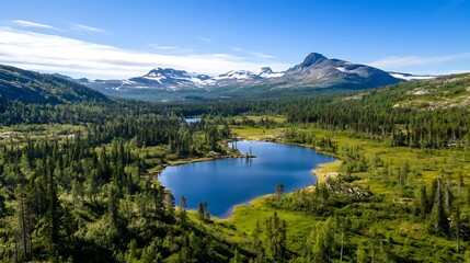Poster - Breathtaking Aerial View of a Serene Lake Surrounded by Lush Green Forest and Mountains : Generative AI