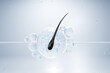 © ATKWORK888 - 3D illustration of a black hair strand penetrating a transparent serum bubble surrounded by hydration particles on a light background, ideal for hair care and cosmetic concepts.
