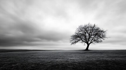 Poster - Striking black and white silhouette of a lone tree against a dramatic cloudy sky creating an atmospheric scene : Generative AI