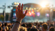 © MOHAMED - Crowd raising hand in the air and enjoying concert on a festival