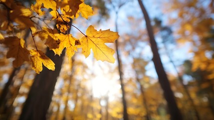 Poster - Close up view of autumn leaves in a forest during golden hour radiating warmth and charm : Generative AI