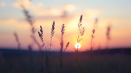 Aufkleber - Silhouetted Grass Against a Beautiful Sunset Sky Creating an Inspiring Peaceful Atmosphere : Generative AI