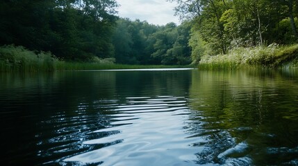 Aufkleber - Peaceful lake surrounded by lush greenery reflecting trees in calm water : Generative AI