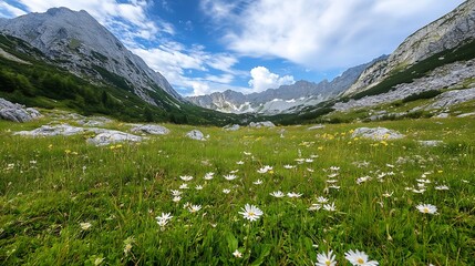 Poster - Breathtaking mountain valley filled with wildflowers under a clear blue sky : Generative AI