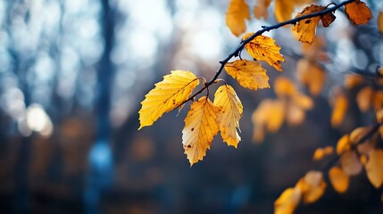 Poster - Autumn leaves turning golden yellow on branches showcasing the beauty of nature during the fall season : Generative AI