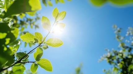 Poster - Bright green leaves soaking up sunlight against a clear blue sky showcasing nature's vitality : Generative AI