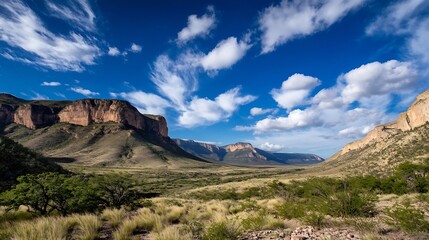 Poster - Breathtaking panoramic view of a vast desert landscape with dramatic mountains under a bright blue sky : Generative AI