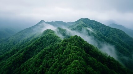 Aufkleber - Aerial View of Misty Green Mountains Covered with Lush Vegetation and Fog : Generative AI