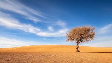 Poster - Solitary tree standing tall on vast sandy landscape under a clear blue sky : Generative AI