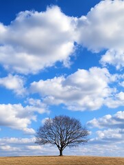 Poster - Lonely tree on a hill under a bright blue sky filled with fluffy clouds reflecting nature's tranquility : Generative AI
