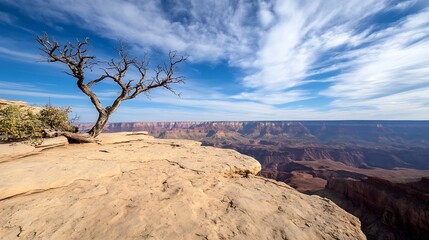 Poster - Stark desert landscape featuring a solitary tree against a stunning canyon backdrop : Generative AI